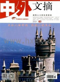 中外文摘