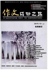 《作文成功之路》