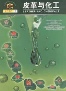 皮革与化工