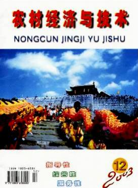 农村经济与技术