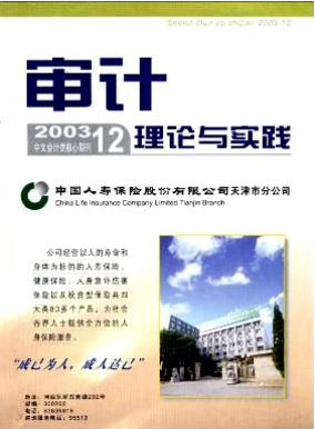 审计理论与实践