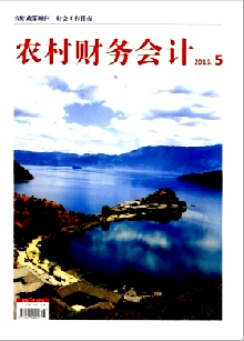 农村财务会计