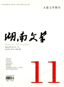 湖南文学