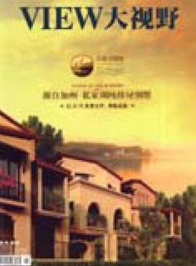 大视野