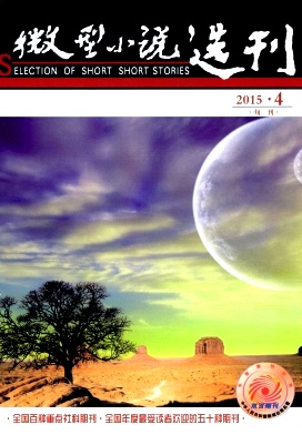 微型小说选刊