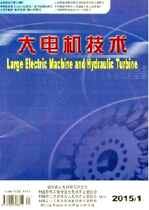 大电机技术