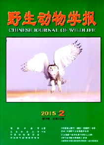 野生动物学报