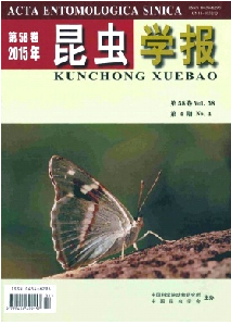 昆虫学报