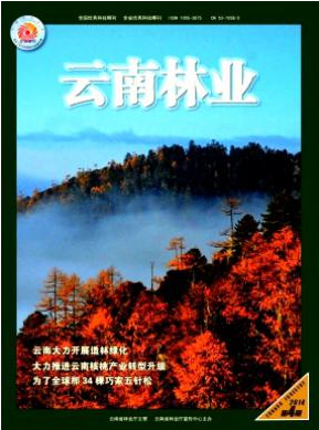 云南林业