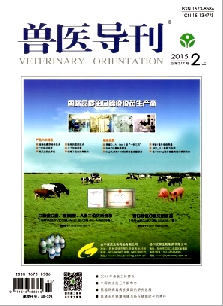 兽医导刊