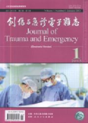 创伤与急诊电子