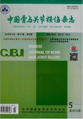 中国骨与关节损伤杂志