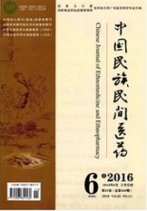 中国民族民间医药杂志