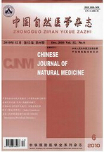 中国自然医学杂志