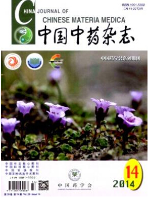 中国中药杂志