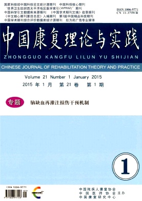 中国康复理论与实践