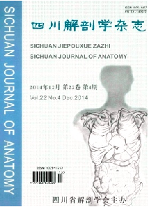 四川解剖学杂志