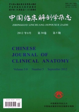 中国临床解剖学杂志
