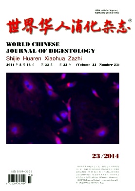 世界华人消化杂志