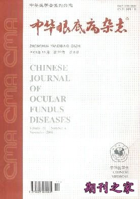 中华眼底病