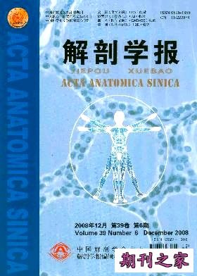 解剖学报